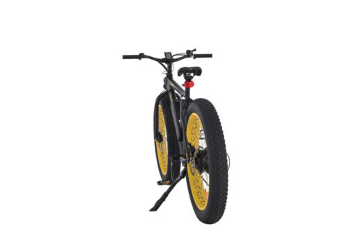 20201117 M10P0638 Lumag Bikes