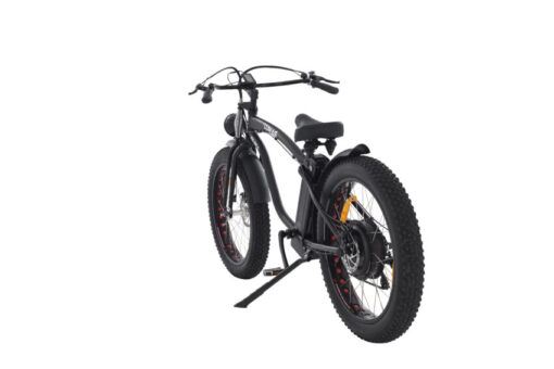 20201117 M10P0686 Lumag Bikes