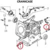 crankcase 3 1 1