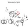 crankshaft and piston 7 1 1